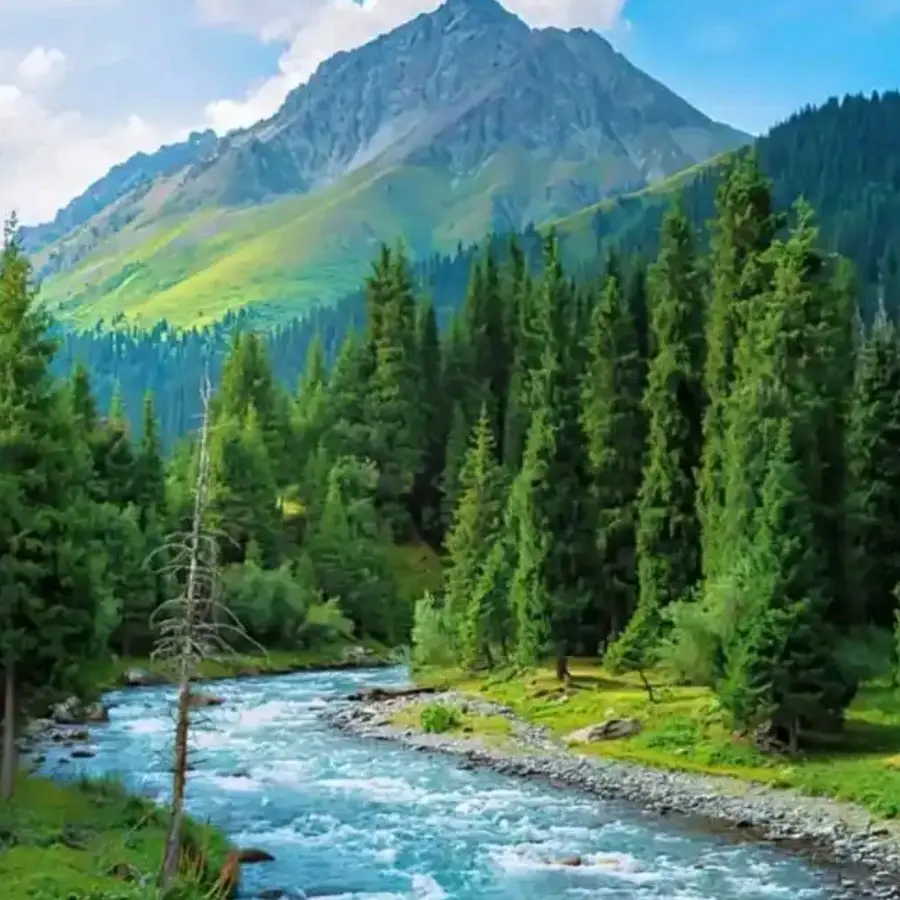 阿根廷21岁足球天才：热刺心仪，锋线新希望，进球效率惊人